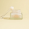 A.G.E.STOP SWITZERLAND SWISS LUX GLOW CREAM