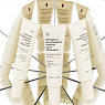 ALLIES OF SKIN PEPTIDES&ANTIOXIDANTS DAILY TREATMENT