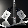 PHYTO-C Intense Line Defense